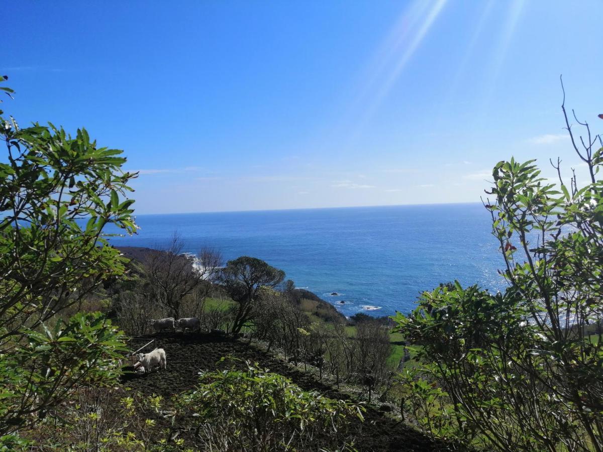 A Casa Do Ti Mendonca Villa Lajes das Flores Ngoại thất bức ảnh